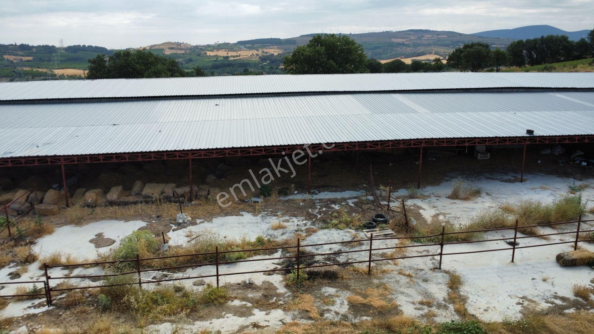 Musaköyde 3750 M2 Satılık Satılık Çiftlik Han Emlak'tan - Görsel 30