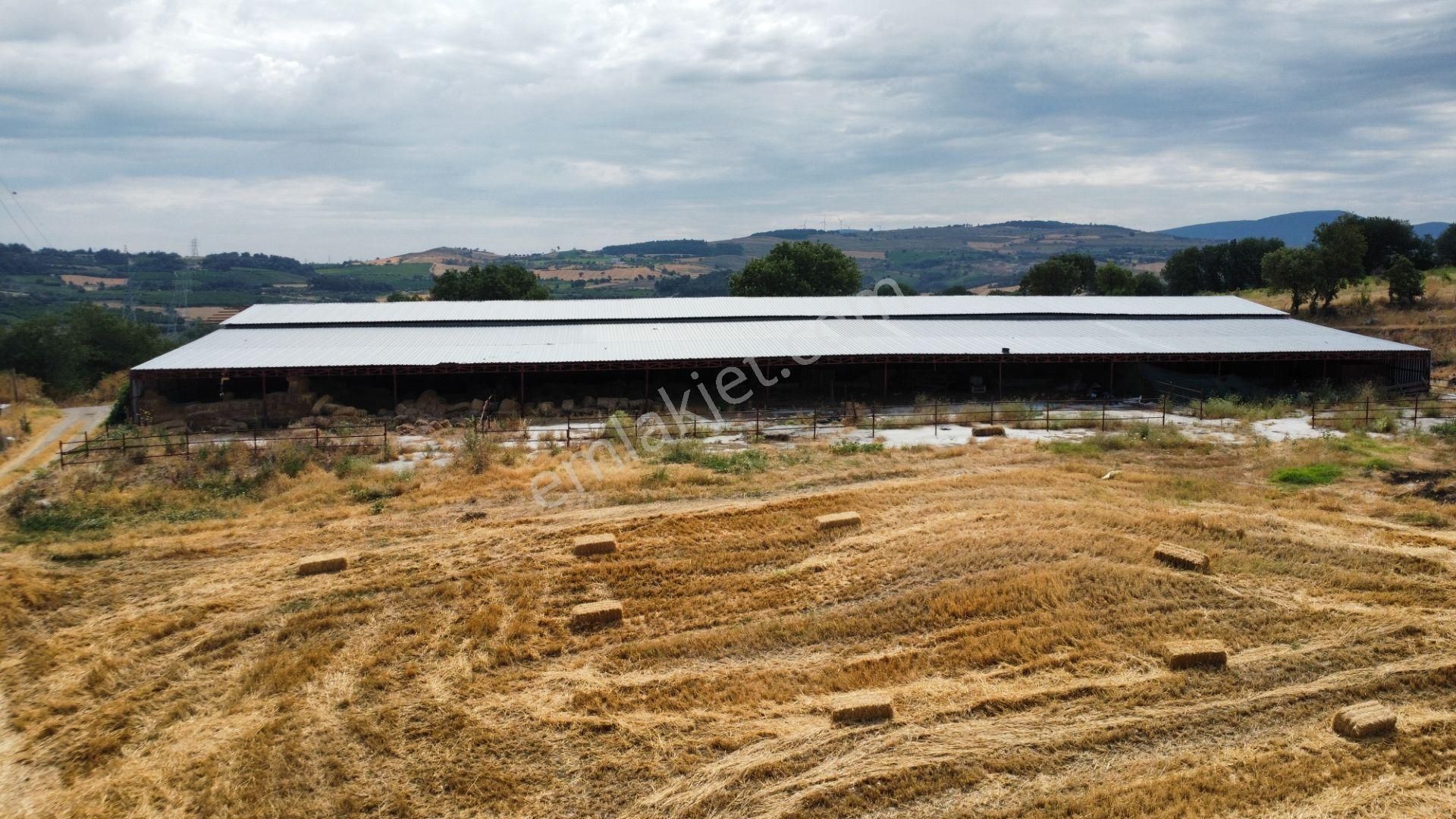 Musaköyde 3750 M2 Satılık Satılık Çiftlik Han Emlak'tan - Görsel 27