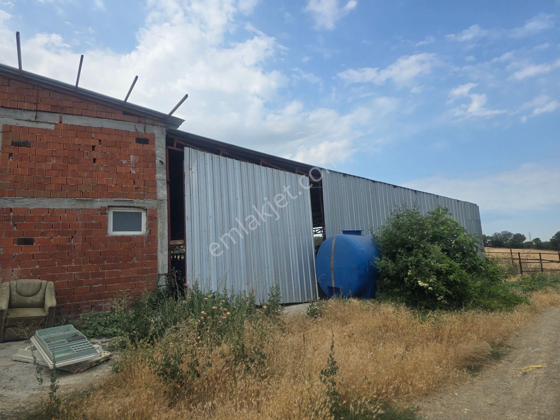 Musaköyde 3750 M2 Satılık Satılık Çiftlik Han Emlak'tan - Görsel 13