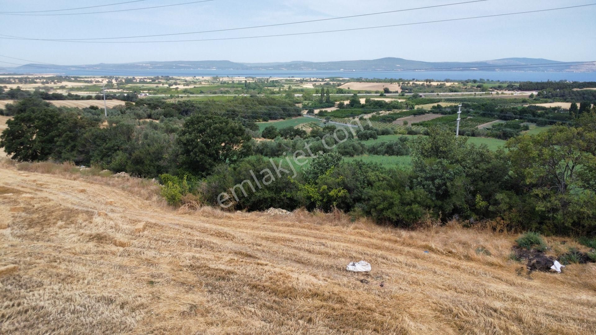 Musaköyde 3750 M2 Satılık Satılık Çiftlik Han Emlak'tan - Görsel 29
