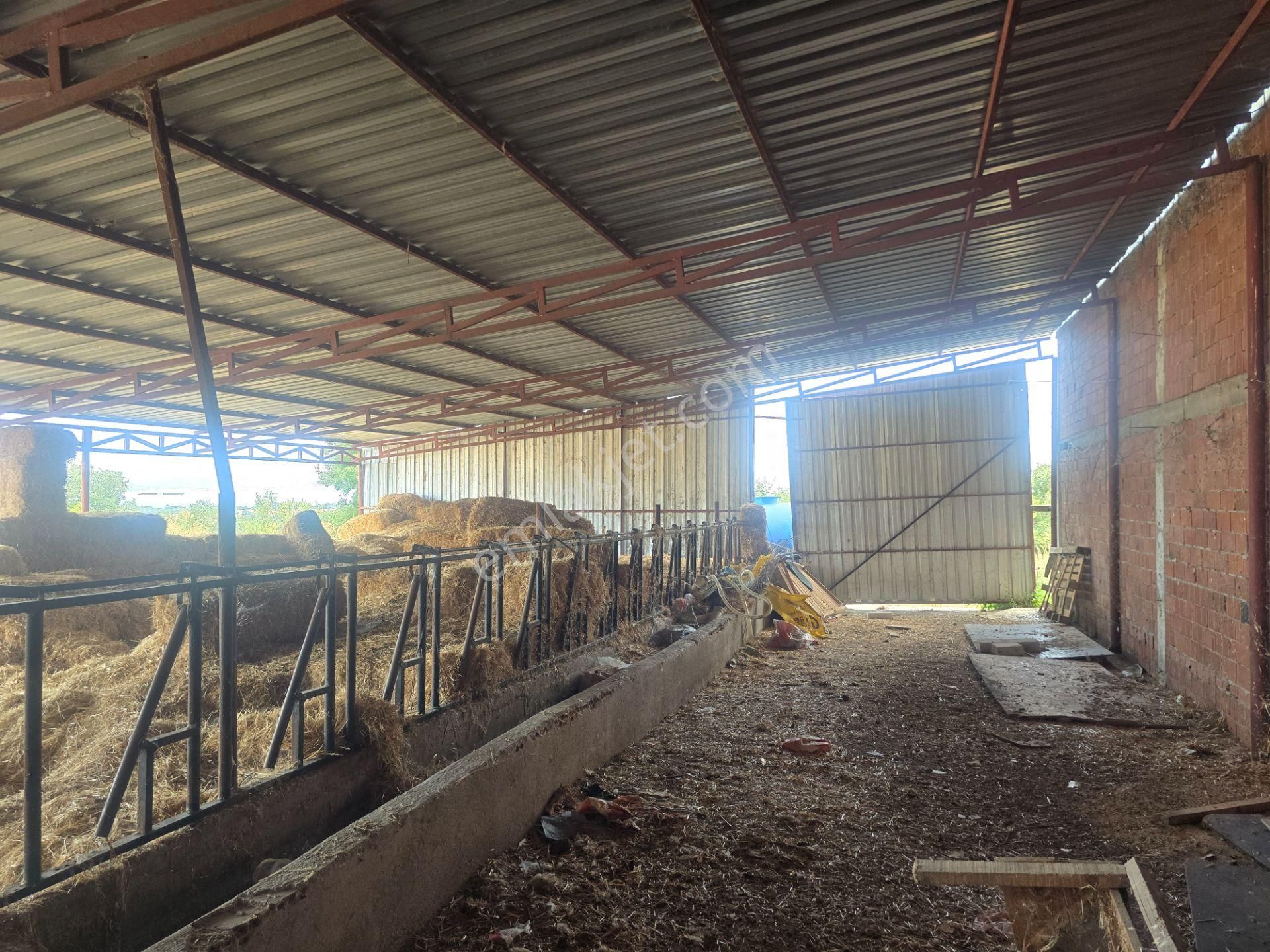 Musaköyde 3750 M2 Satılık Satılık Çiftlik Han Emlak'tan - Görsel 11