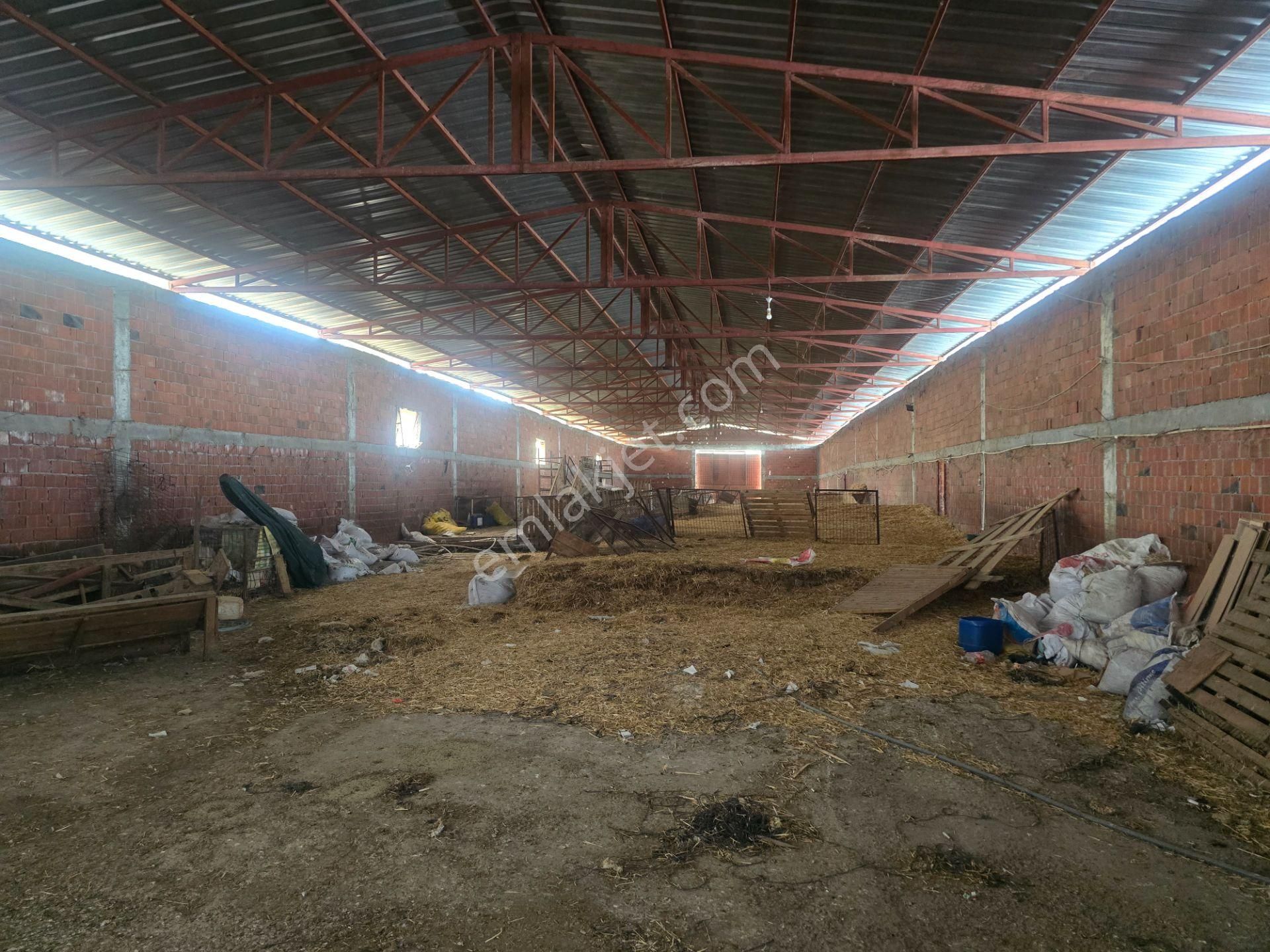 Musaköyde 3750 M2 Satılık Satılık Çiftlik Han Emlak'tan - Görsel 10