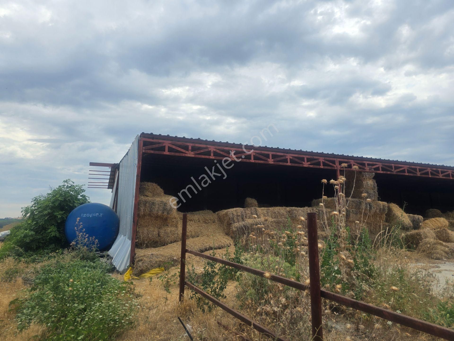 Musaköyde 3750 M2 Satılık Satılık Çiftlik Han Emlak'tan - Görsel 16