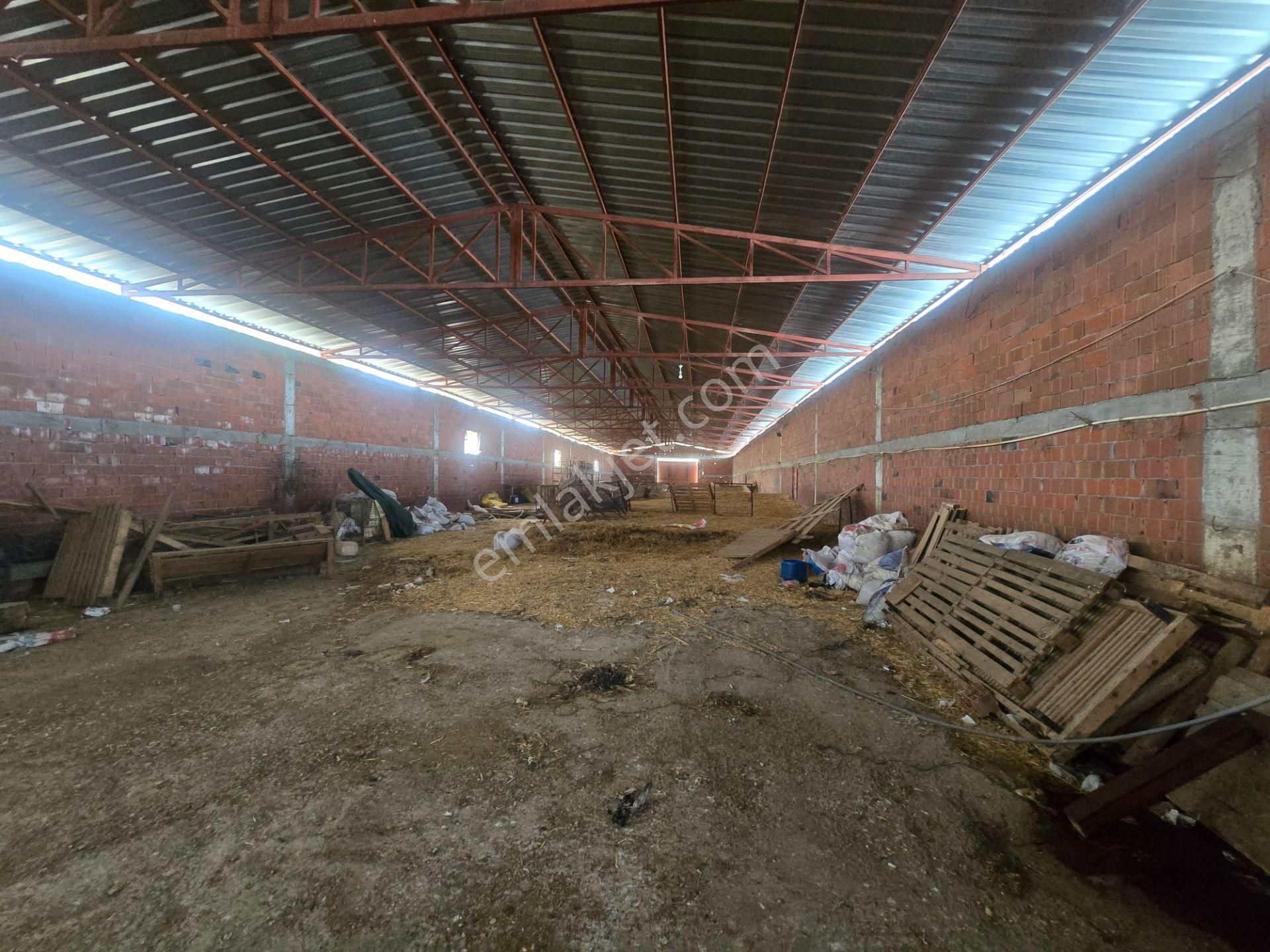 Musaköyde 3750 M2 Satılık Satılık Çiftlik Han Emlak'tan - Görsel 7