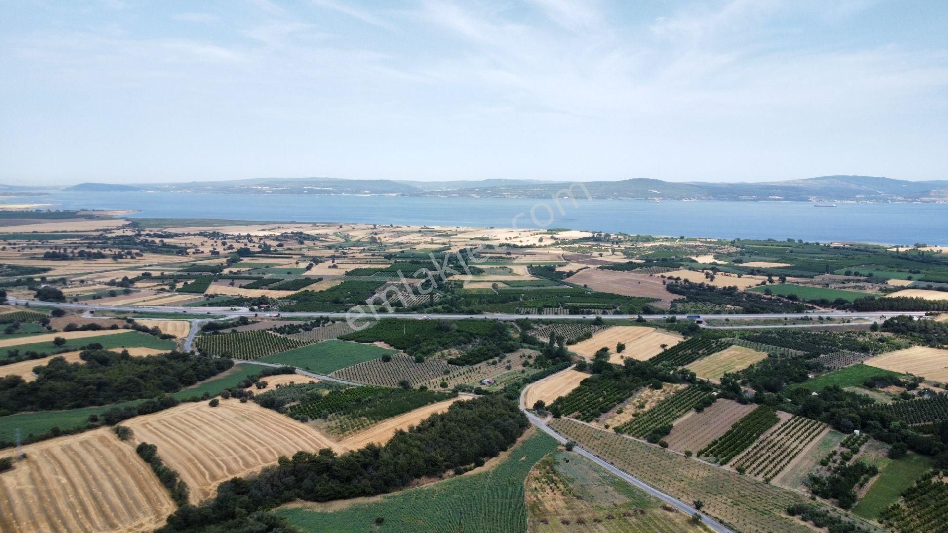 Musaköyde 3750 M2 Satılık Satılık Çiftlik Han Emlak'tan - Görsel 24