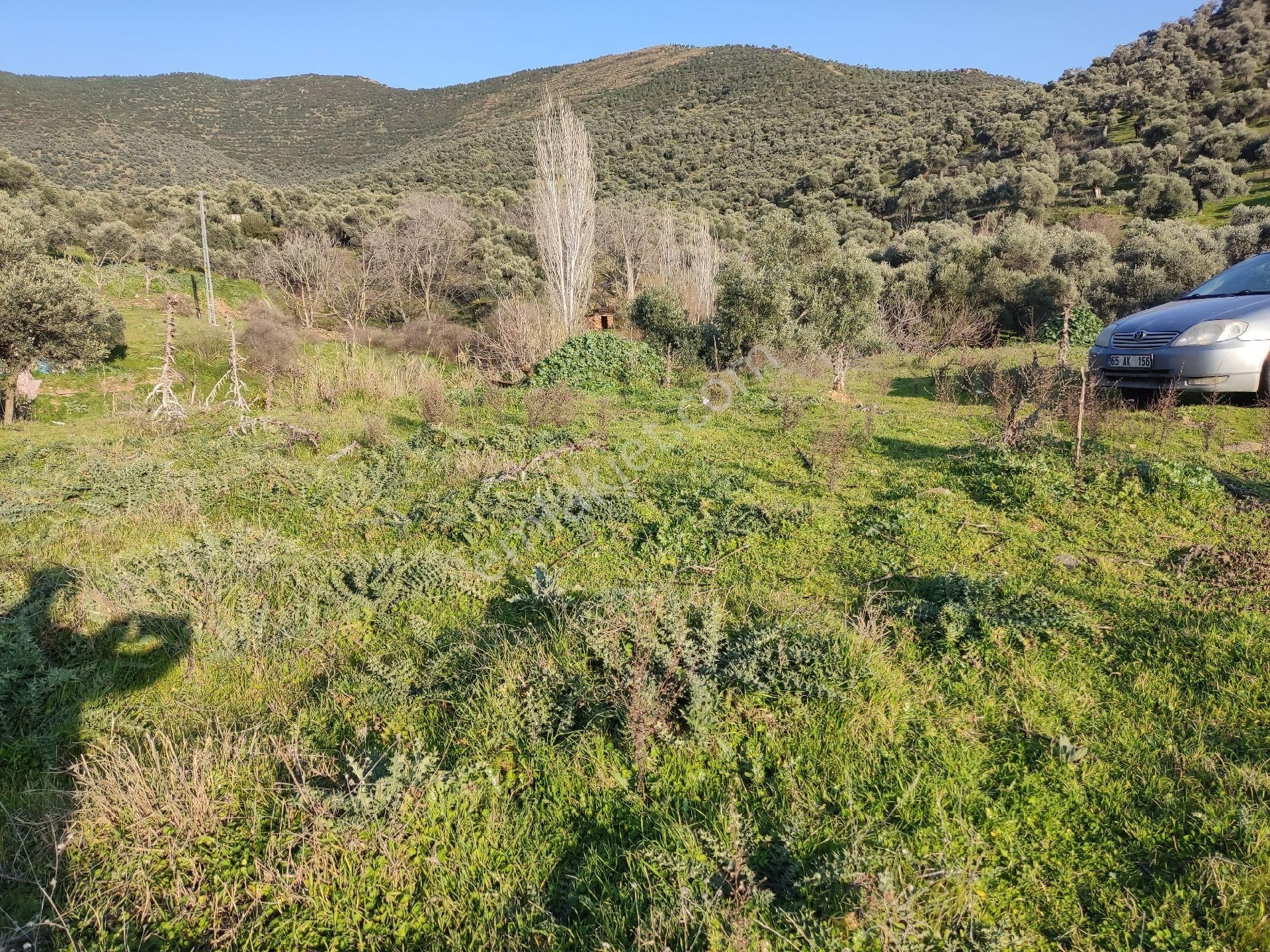 Doğa Gayrimenkulden Satılık Yatırımlık Arsa! - Görsel 2