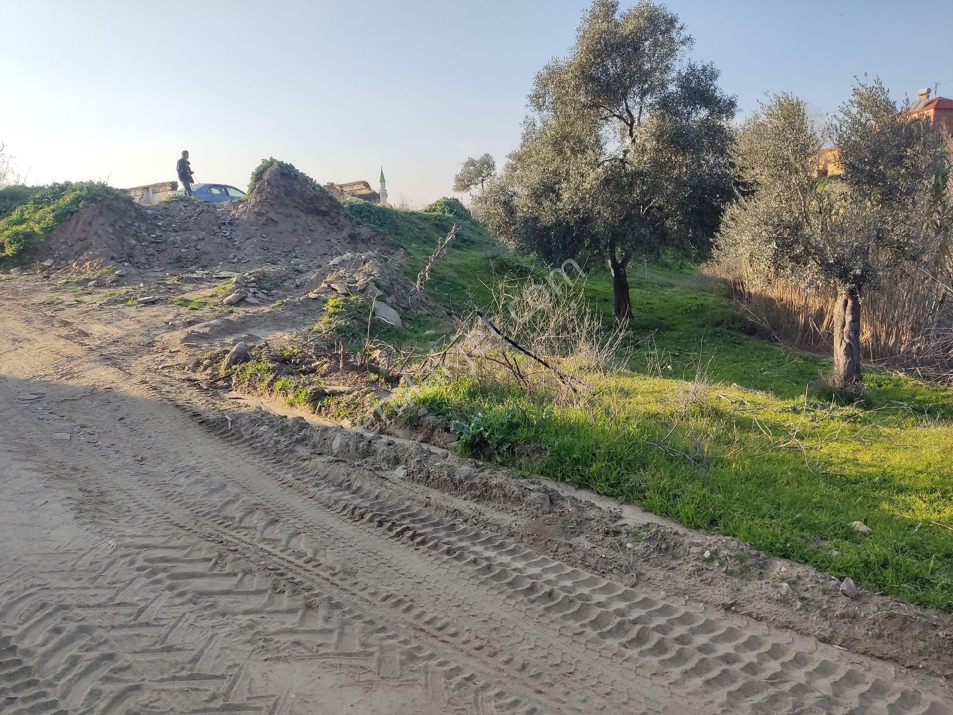 Doğa Gayrimenkulden Satılık Yatırımlık Arsa! - Görsel 9