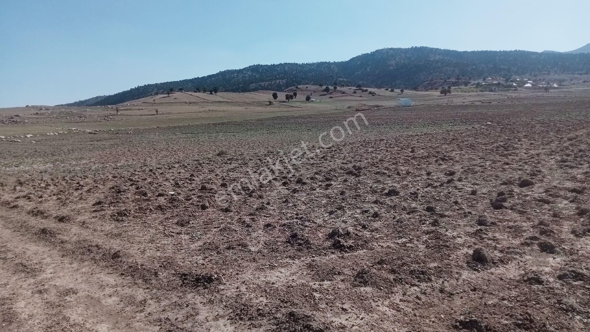 Antalya Korkuteli Sülükler Yaylası