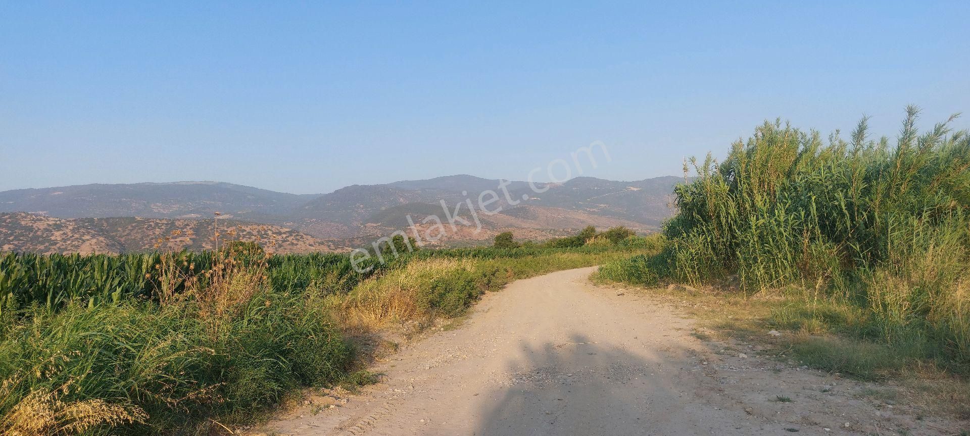 Bozdoğan Nazilli Arası Satılık 18.000 M2 Verimli Tarla - Görsel 15