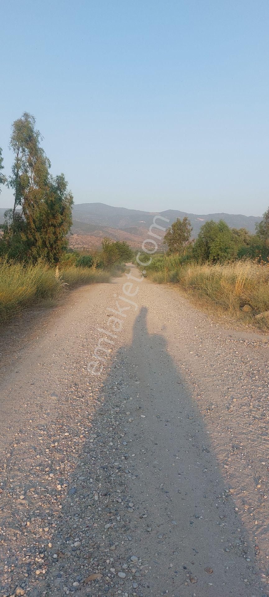 Bozdoğan Nazilli Arası Satılık 18.000 M2 Verimli Tarla
