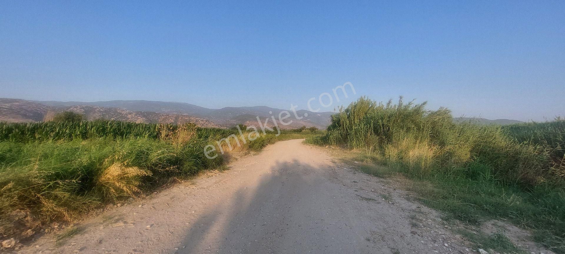 Bozdoğan Nazilli Arası Satılık 18.000 M2 Verimli Tarla - Görsel 24