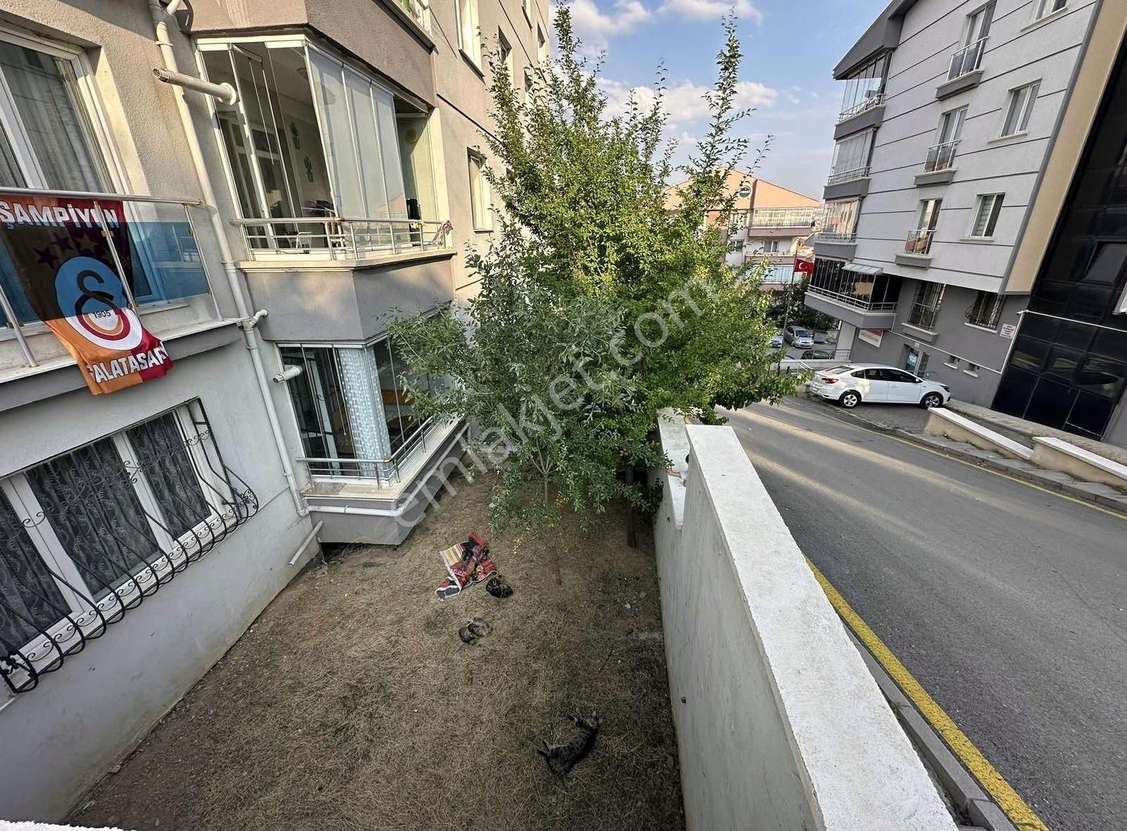 Yapılı Asansörlü 3+1