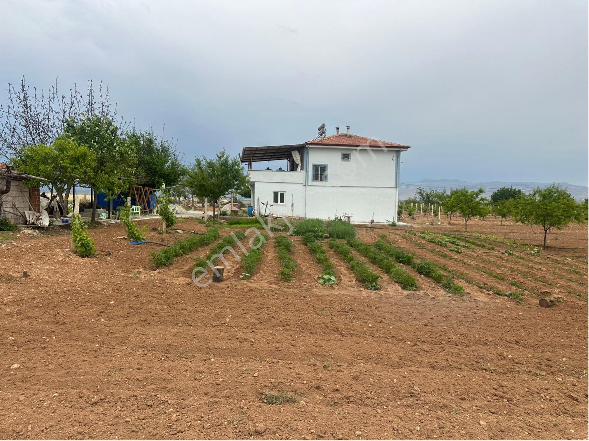 Akçadağ Karapınarda 15 Dönüm Satılık Kayısı Bahçesi Ve Üzüm Bağı