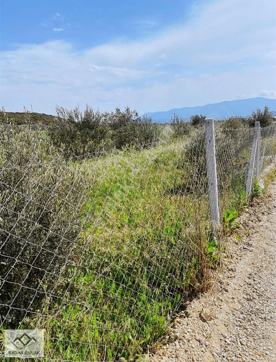 Menderes Tekeli'de Yatırımlık Müfrez Tapulu 326 M² Tarla - Görsel 2