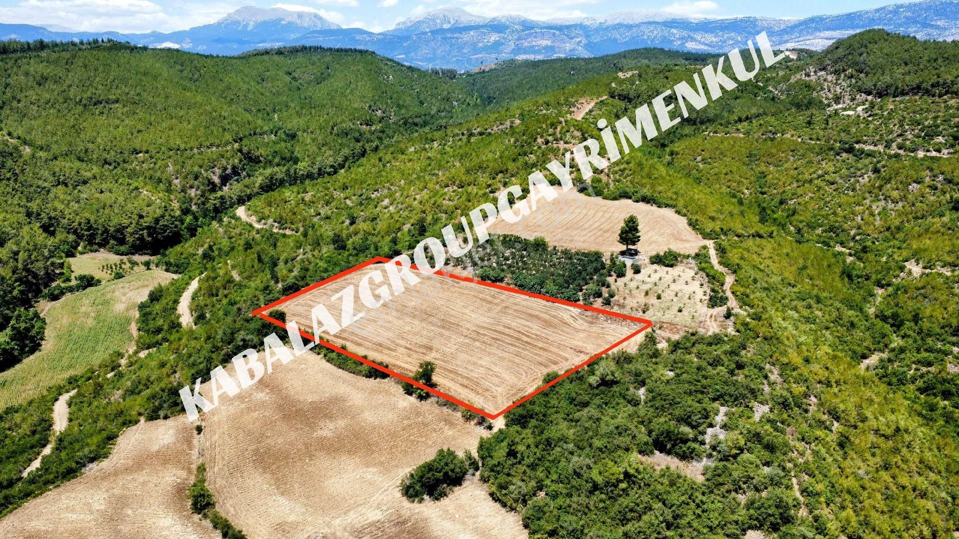 Adana Karaisalı Maraşlı'da 9066m² Fırsat Tarla