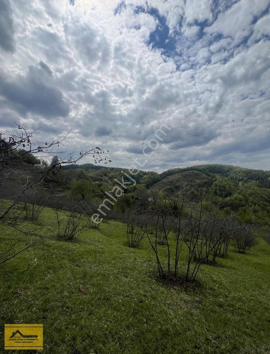 Ruşen Aydın Gayrimenkul'den Kaynaşlı Yeniyurt'ta Satılık Arsa - Görsel 12