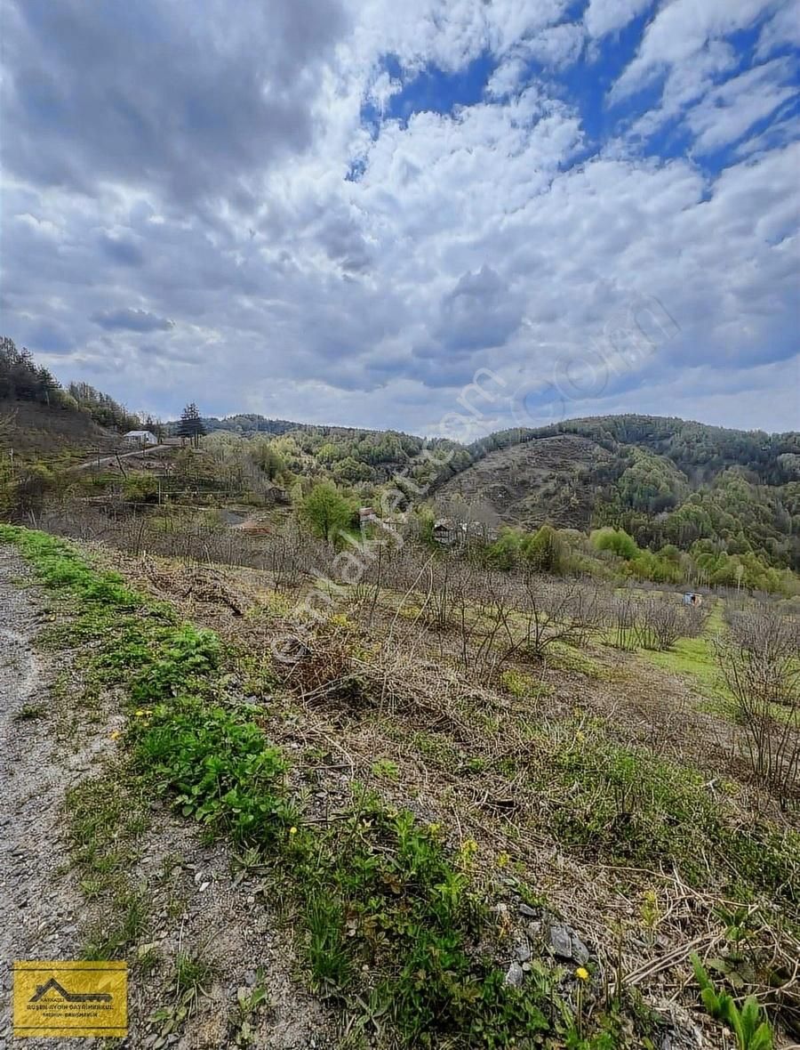 Ruşen Aydın Gayrimenkul'den Kaynaşlı Yeniyurt'ta Satılık Arsa - Görsel 8