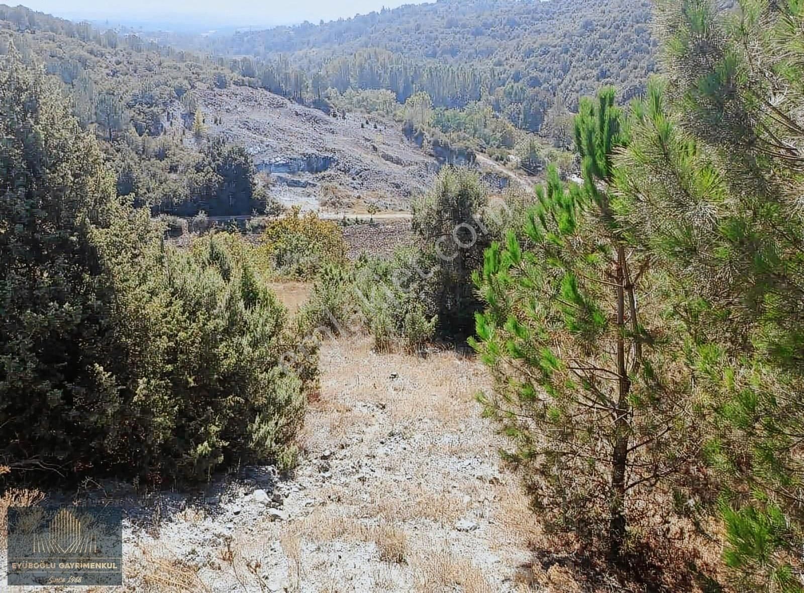 Yenişehir Orhaniye, Orman Manzaralı,545m2, Resmi Yolu Açık Arazi