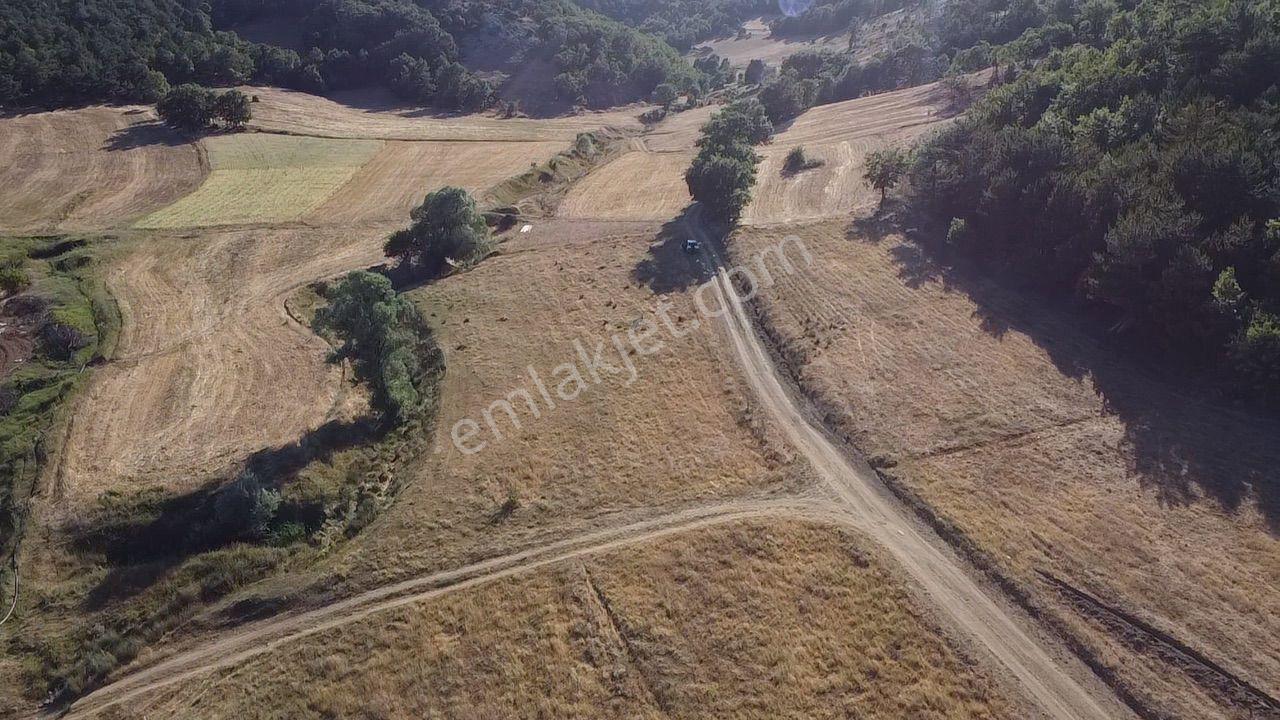 2.267 M2 Resmi Yolu Olan Gölete Yakım Dümdüz Arazi Kaçmaz ! - Görsel 9
