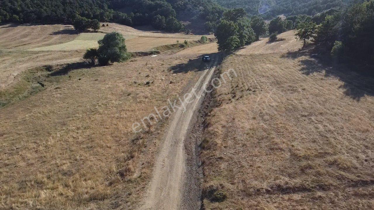 2.267 M2 Resmi Yolu Olan Gölete Yakım Dümdüz Arazi Kaçmaz ! - Görsel 5