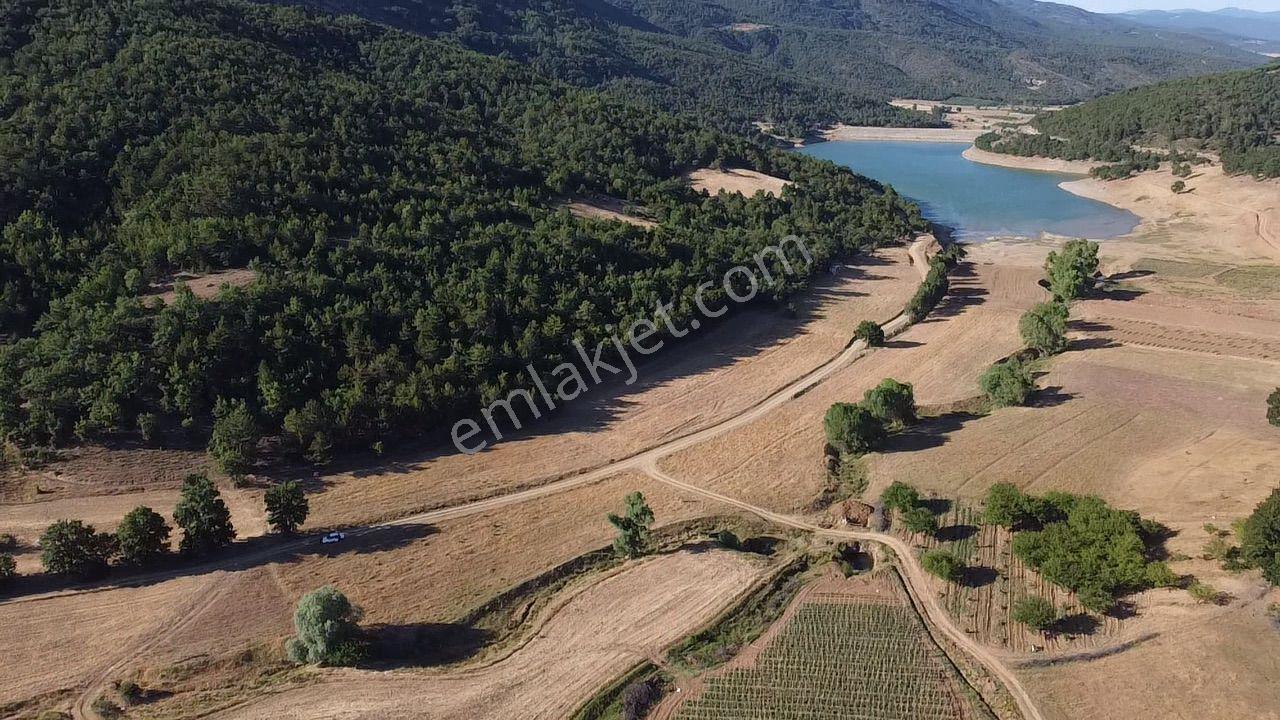 2.267 M2 Resmi Yolu Olan Gölete Yakım Dümdüz Arazi Kaçmaz ! - Görsel 18