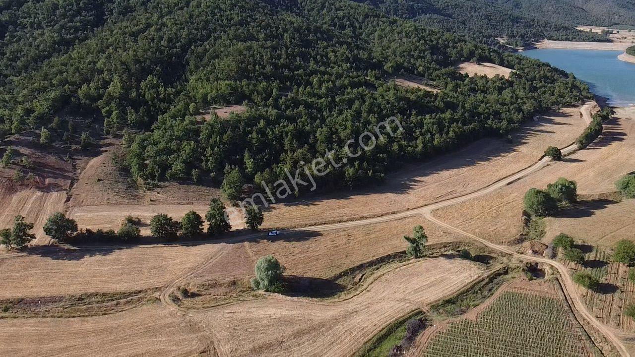 2.267 M2 Resmi Yolu Olan Gölete Yakım Dümdüz Arazi Kaçmaz ! - Görsel 15