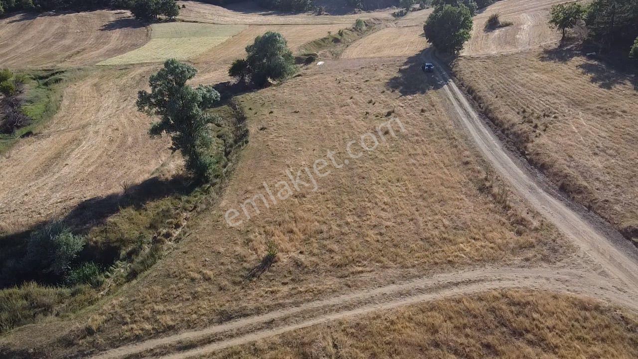 2.267 M2 Resmi Yolu Olan Gölete Yakım Dümdüz Arazi Kaçmaz ! - Görsel 10