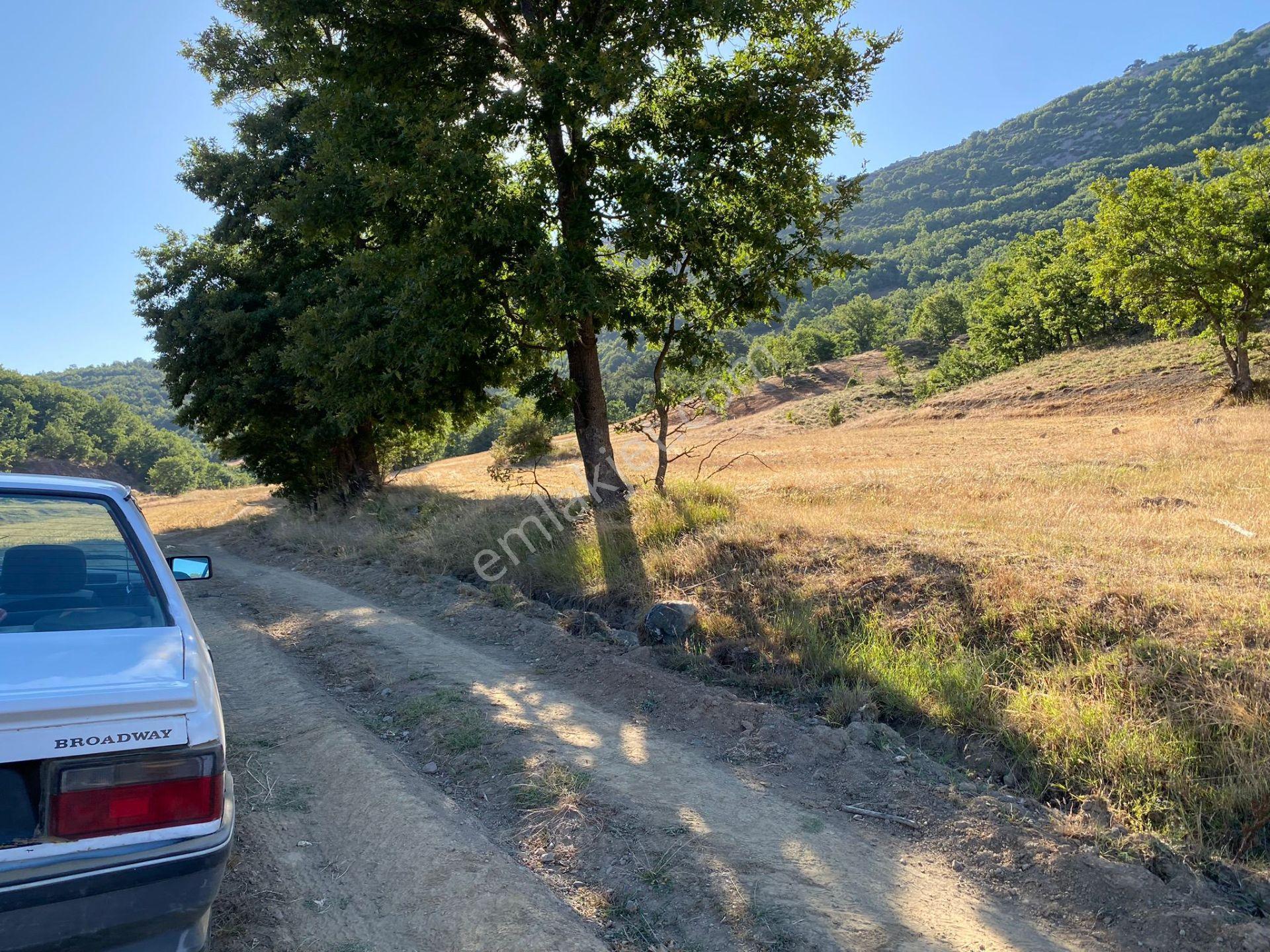 2.267 M2 Resmi Yolu Olan Gölete Yakım Dümdüz Arazi Kaçmaz ! - Görsel 25