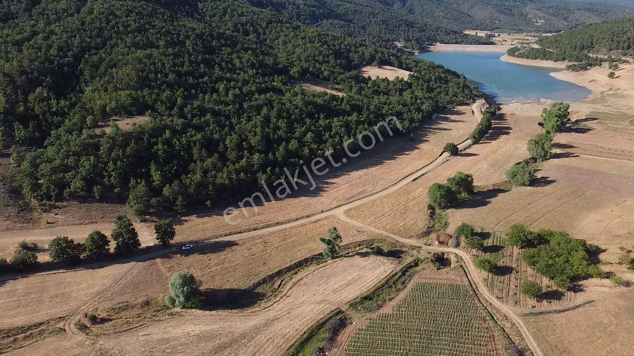 2.267 M2 Resmi Yolu Olan Gölete Yakım Dümdüz Arazi Kaçmaz ! - Görsel 21