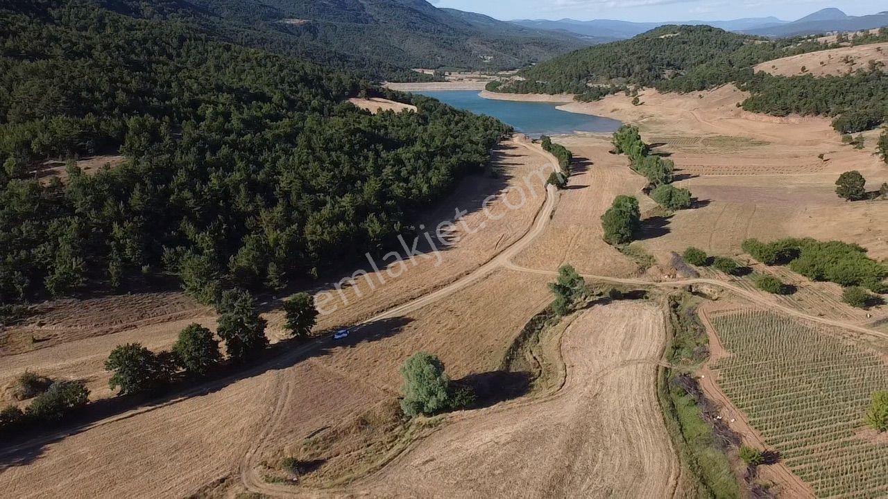 2.267 M2 Resmi Yolu Olan Gölete Yakım Dümdüz Arazi Kaçmaz ! - Görsel 22