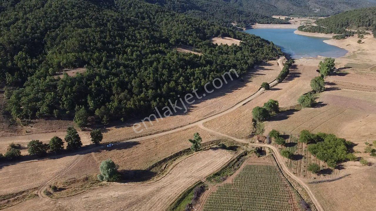 2.267 M2 Resmi Yolu Olan Gölete Yakım Dümdüz Arazi Kaçmaz ! - Görsel 17