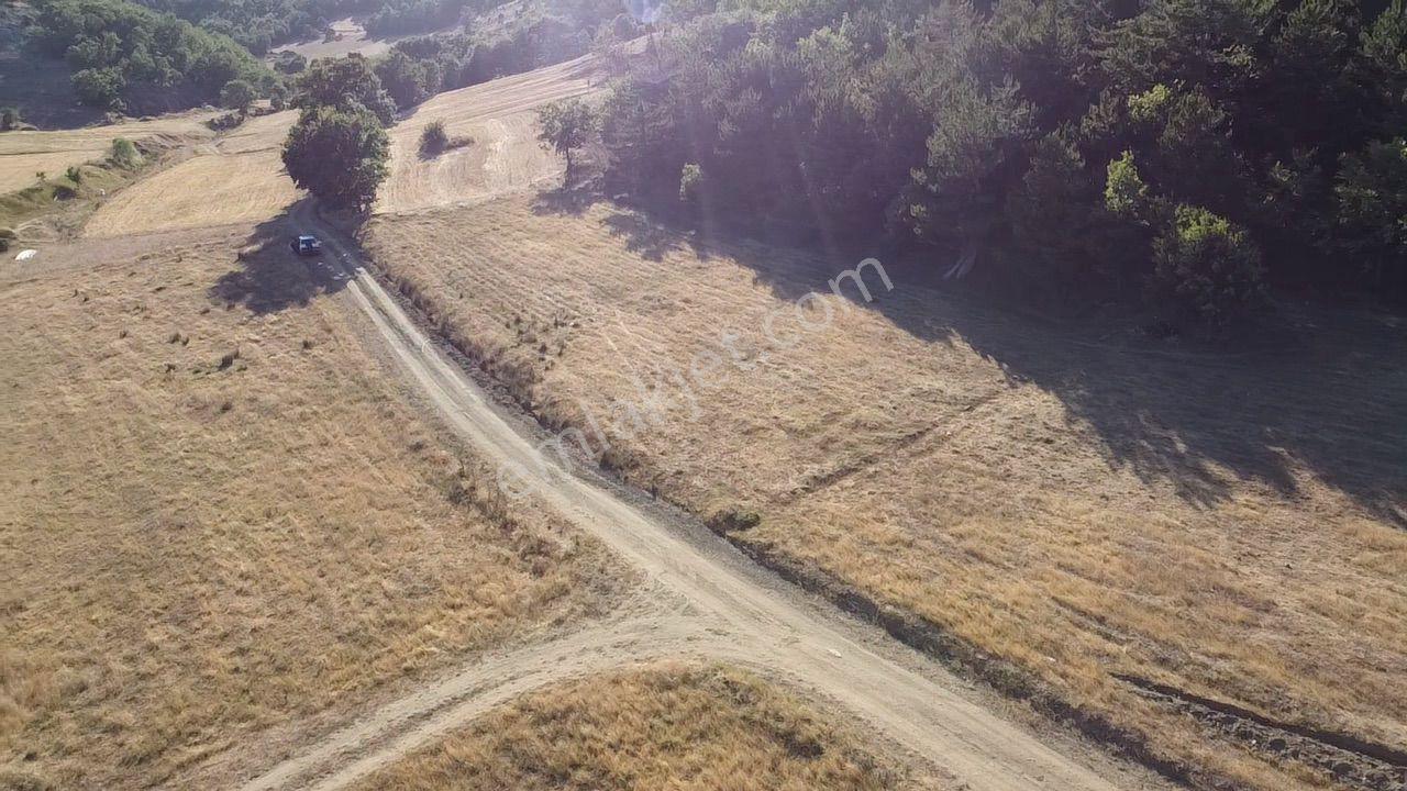 2.267 M2 Resmi Yolu Olan Gölete Yakım Dümdüz Arazi Kaçmaz ! - Görsel 6