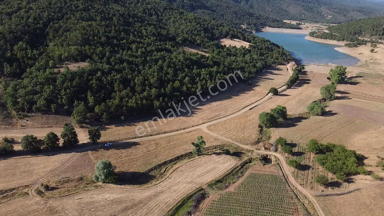2.267 M2 Resmi Yolu Olan Gölete Yakım Dümdüz Arazi Kaçmaz ! - Görsel 20
