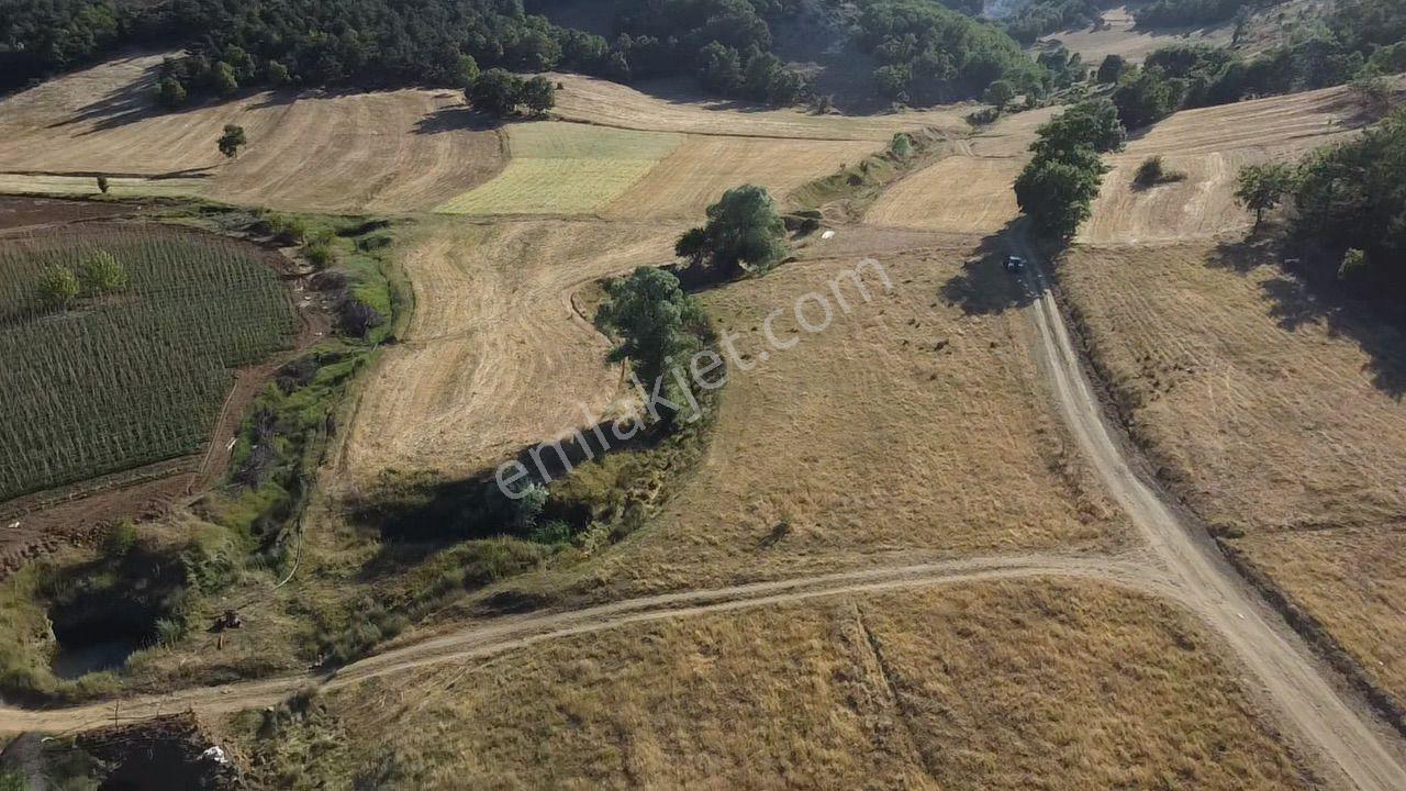 2.267 M2 Resmi Yolu Olan Gölete Yakım Dümdüz Arazi Kaçmaz ! - Görsel 14