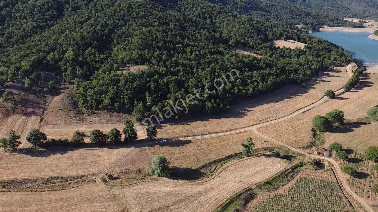 2.267 M2 Resmi Yolu Olan Gölete Yakım Dümdüz Arazi Kaçmaz ! - Görsel 16