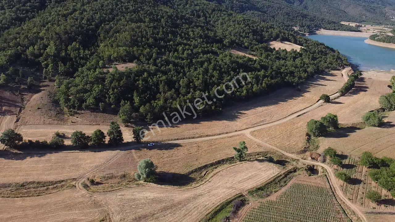 2.267 M2 Resmi Yolu Olan Gölete Yakım Dümdüz Arazi Kaçmaz ! - Görsel 19