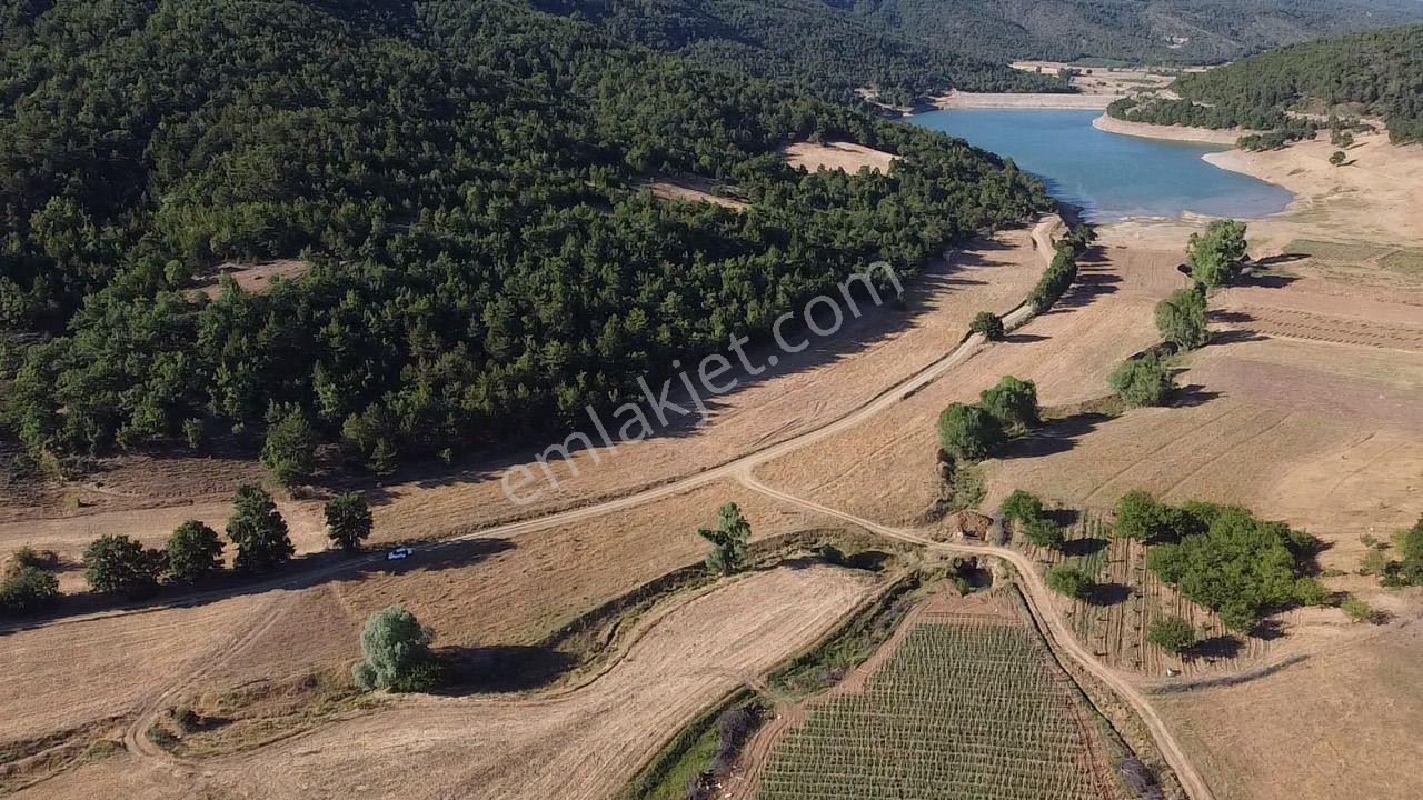 2.267 M2 Resmi Yolu Olan Gölete Yakım Dümdüz Arazi Kaçmaz ! - Görsel 13