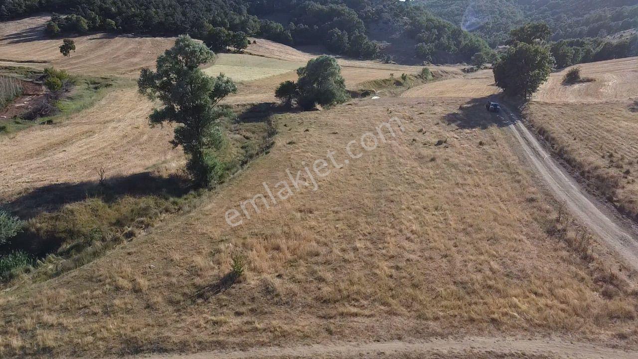 2.267 M2 Resmi Yolu Olan Gölete Yakım Dümdüz Arazi Kaçmaz ! - Görsel 2