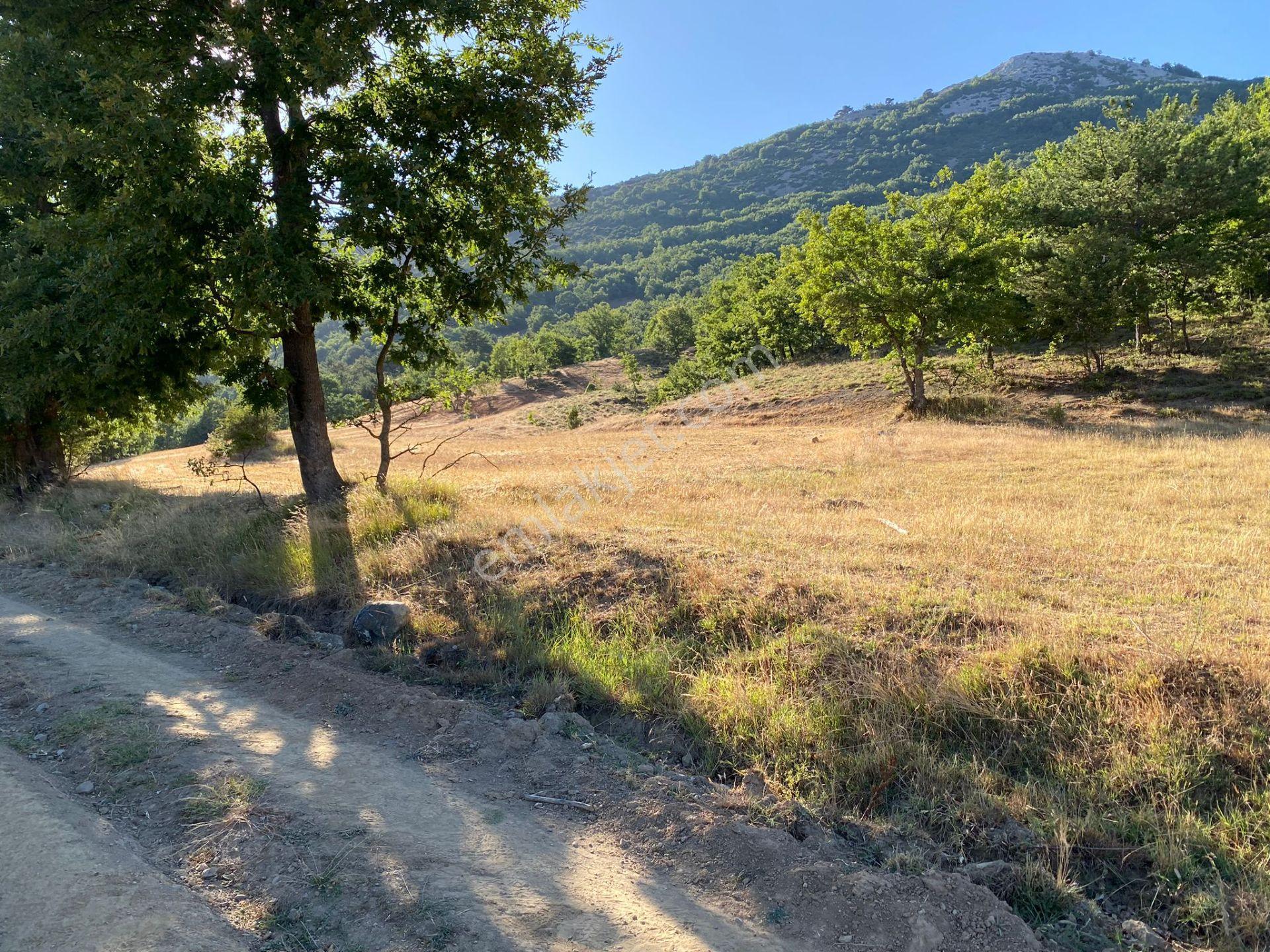 2.267 M2 Resmi Yolu Olan Gölete Yakım Dümdüz Arazi Kaçmaz ! - Görsel 30