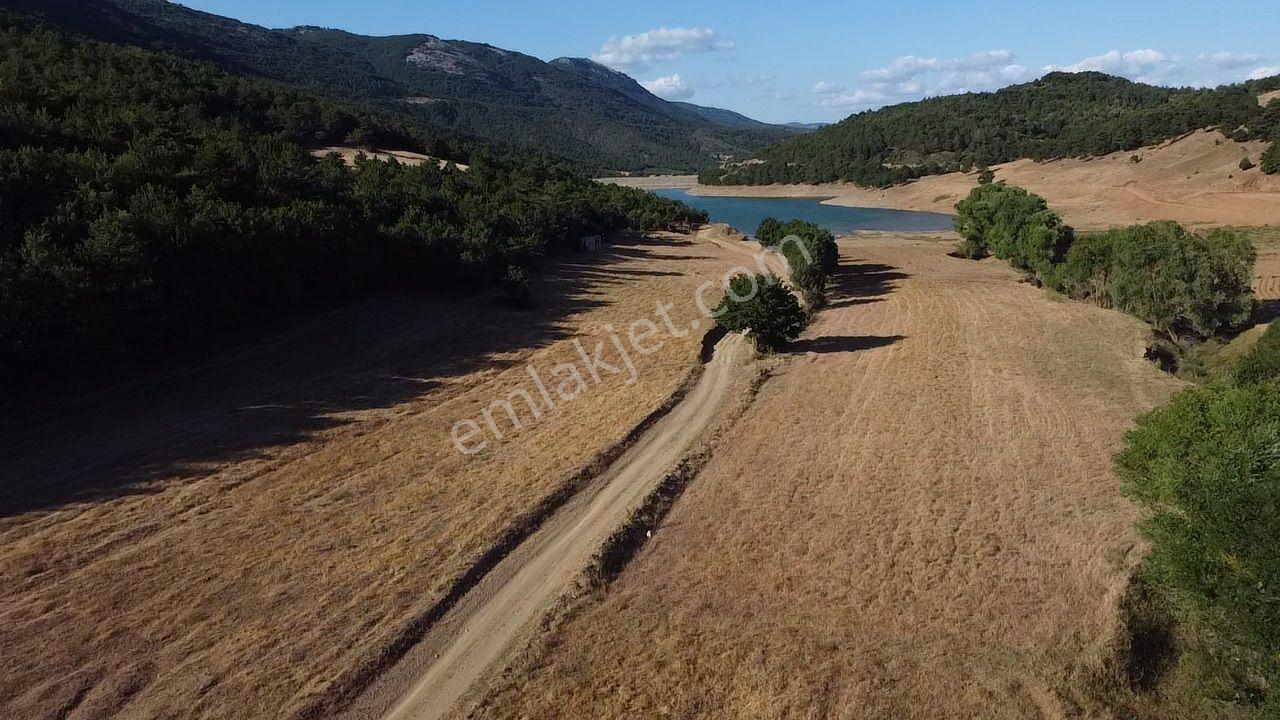 2.267 M2 Resmi Yolu Olan Gölete Yakım Dümdüz Arazi Kaçmaz ! - Görsel 4