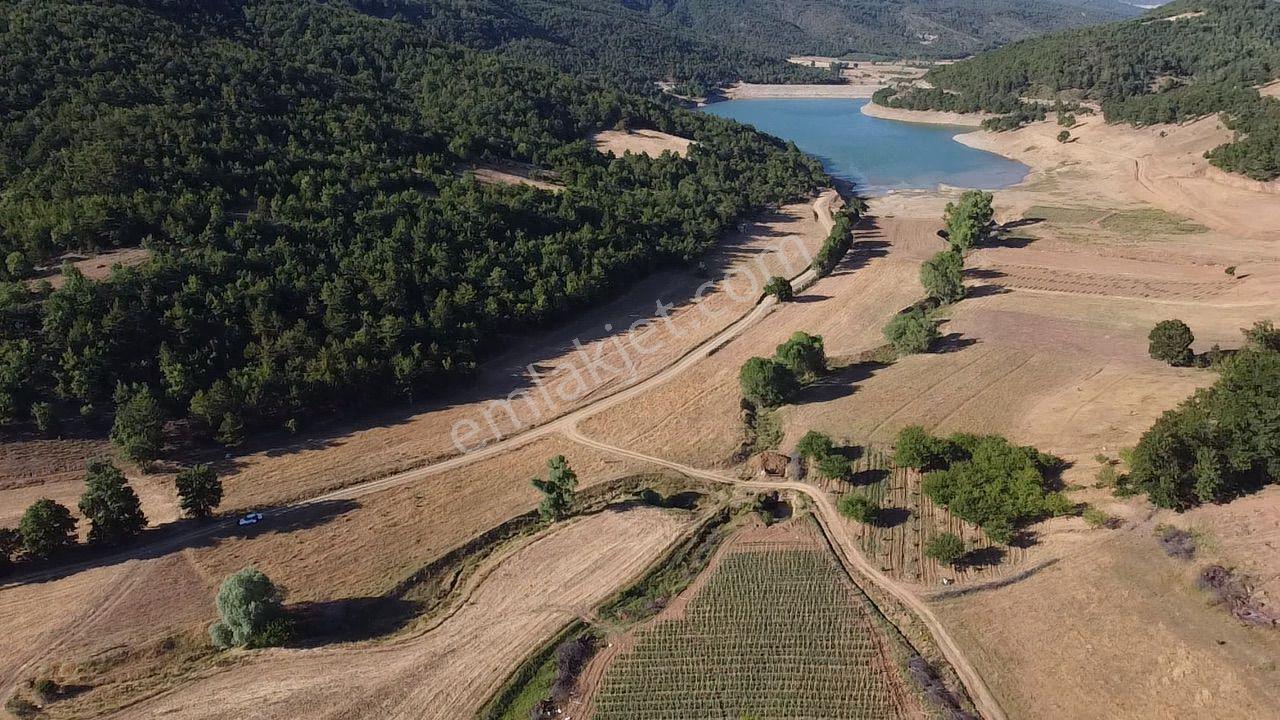 2.267 M2 Resmi Yolu Olan Gölete Yakım Dümdüz Arazi Kaçmaz ! - Görsel 12