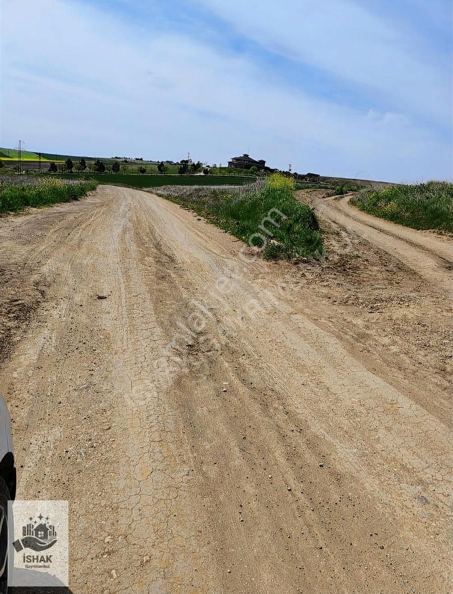 Tekirdağ Marmaraereğlisi Çeşmelide Tarladan Satılık Hisse