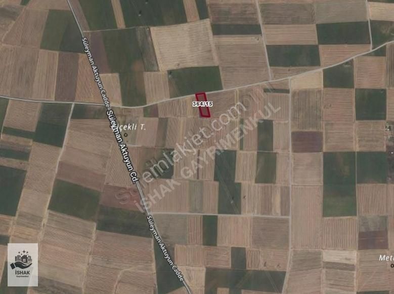 Tekirdağ Marmaraereğlisi Cedid Ali Paşada Hisseli Tapu