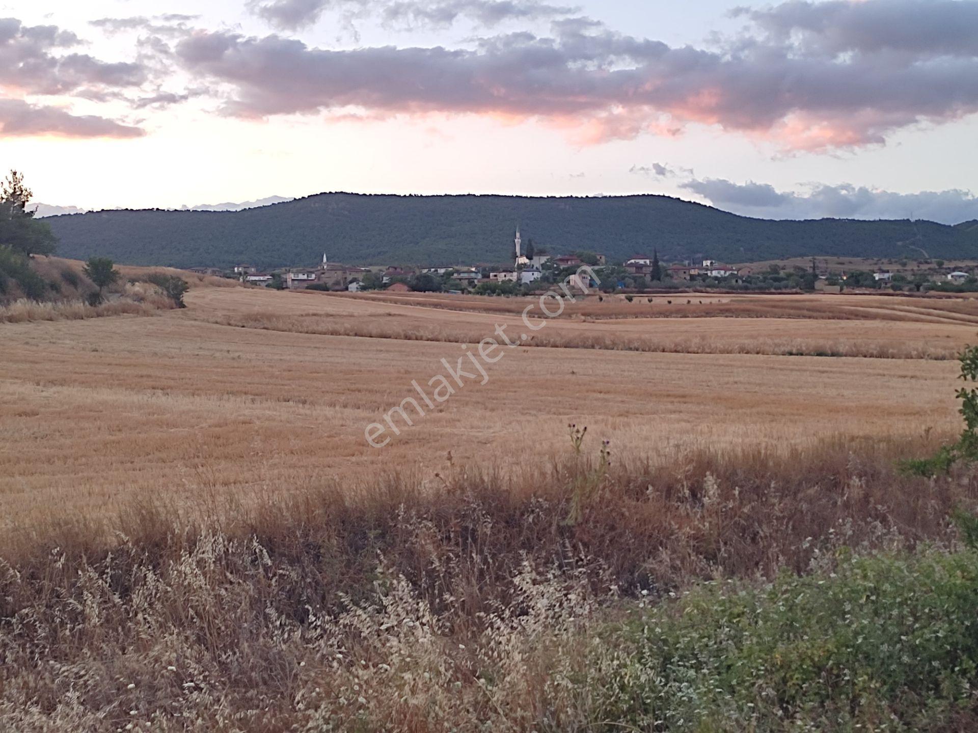 1 Dönüm Resmi Yolu Olan Yatırımlık Merkeze Yakın Arazi Osmnlıdan - Görsel 9