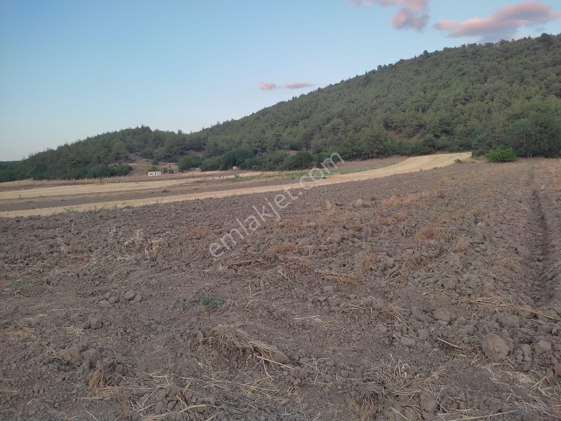 1 Dönüm Resmi Yolu Olan Yatırımlık Merkeze Yakın Arazi Osmnlıdan - Görsel 6