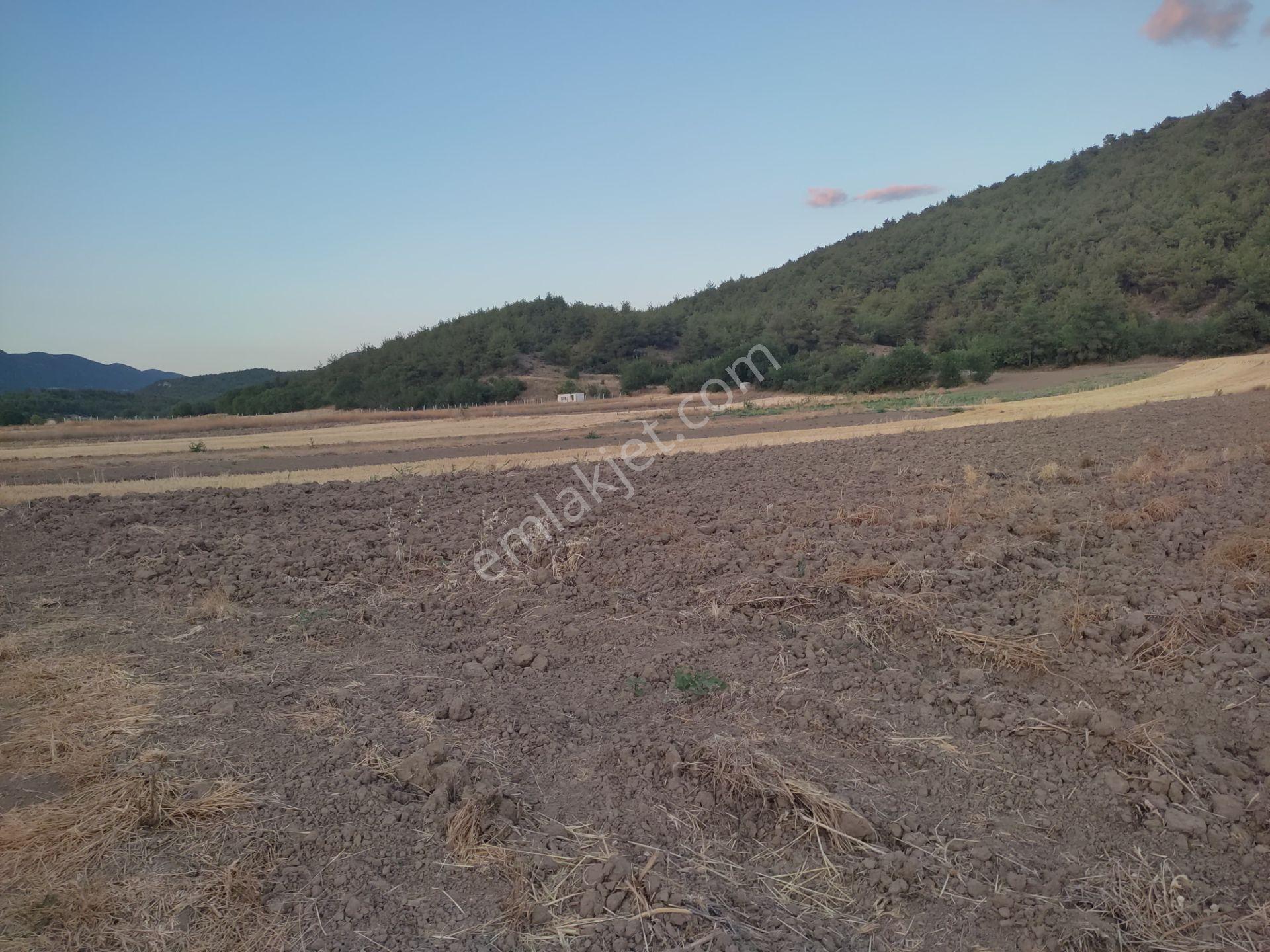 1 Dönüm Resmi Yolu Olan Yatırımlık Merkeze Yakın Arazi Osmnlıdan - Görsel 7