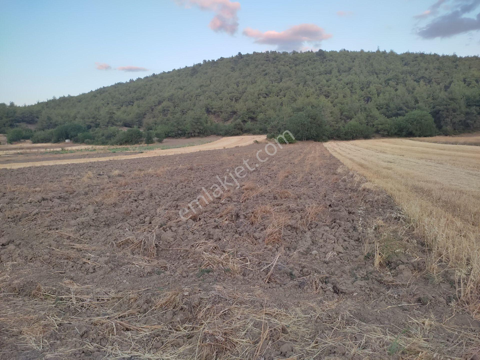 1 Dönüm Resmi Yolu Olan Yatırımlık Merkeze Yakın Arazi Osmnlıdan - Görsel 3