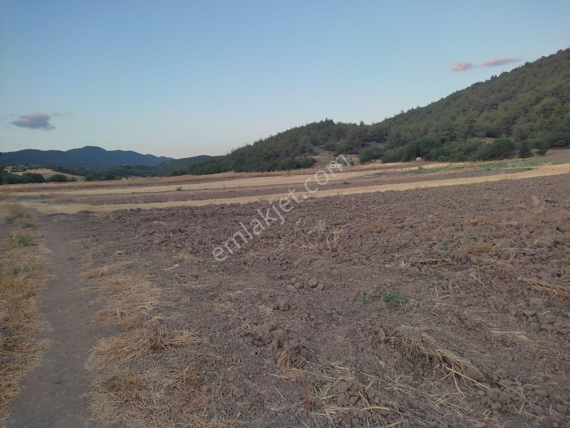 1 Dönüm Resmi Yolu Olan Yatırımlık Merkeze Yakın Arazi Osmnlıdan - Görsel 13