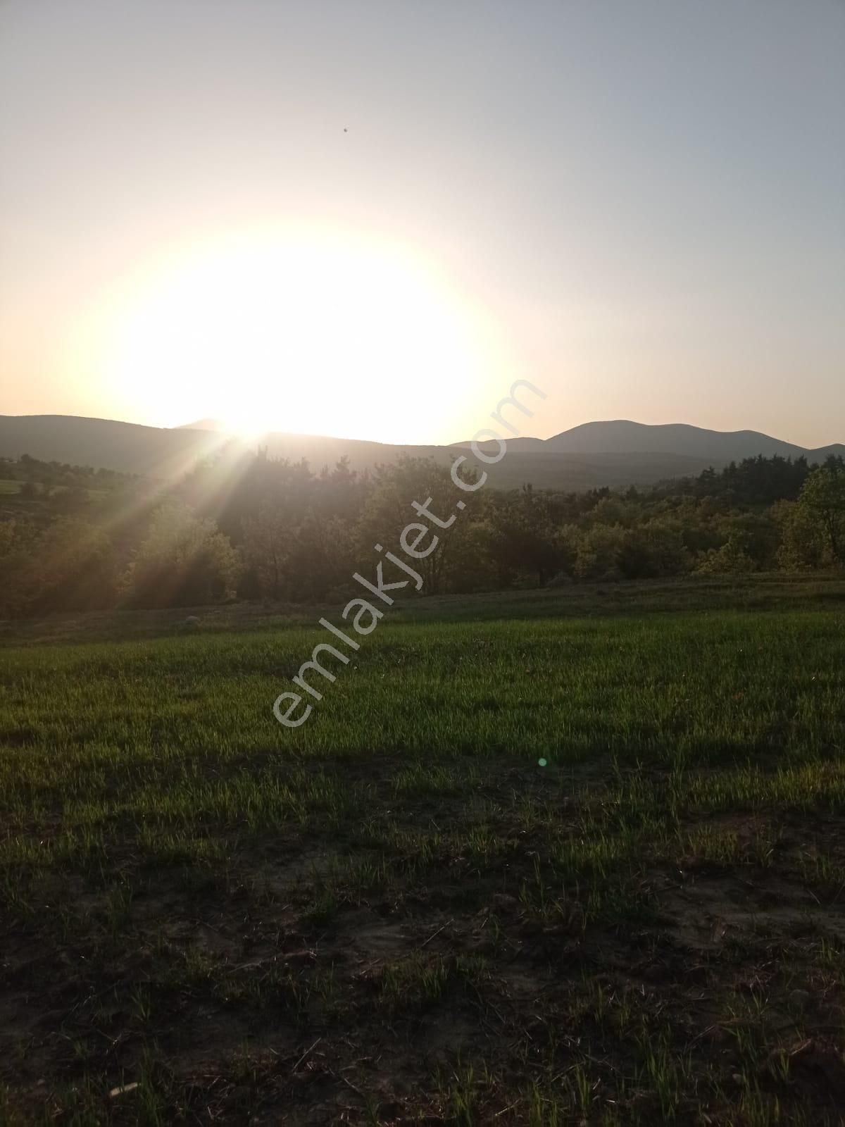 Şile De Satılık Arsa