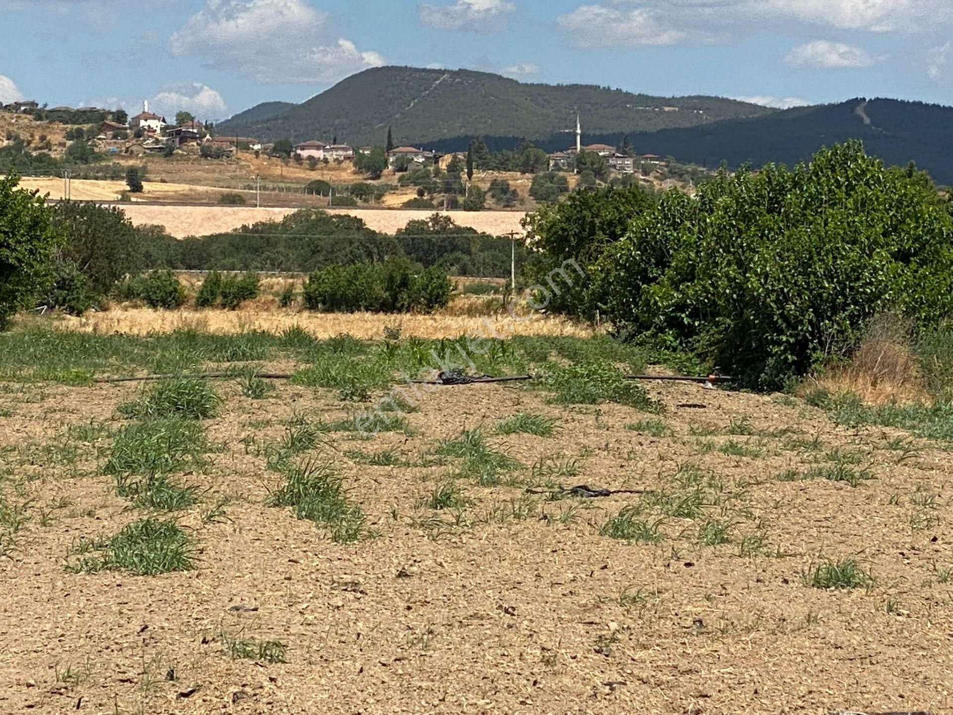 Nehre Sıfır 3.546 M2 Yolu Olan Kaçırılmaz Fırsat Arazi !
